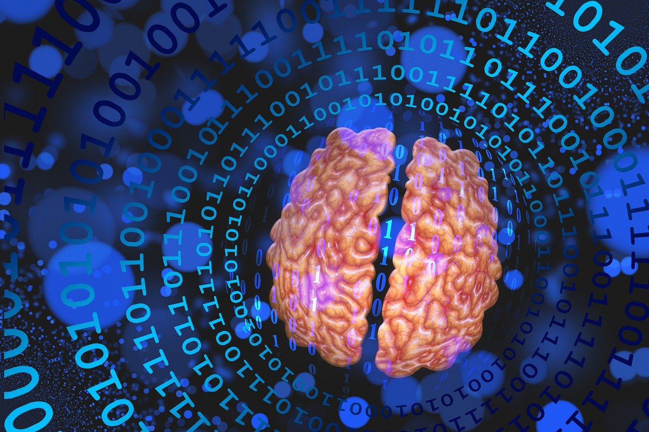 brain, numbers, network, digital, web, neurons, think, system, technology, digitization, brain, brain, brain, brain, brain, neurons, neurons